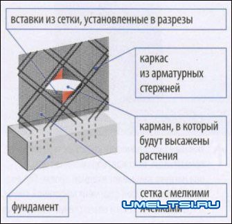 Карман для растений