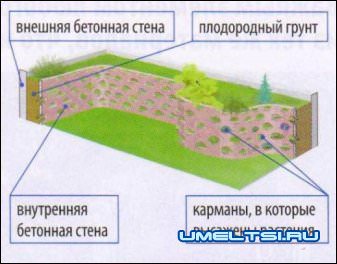 Вид со стороны участка