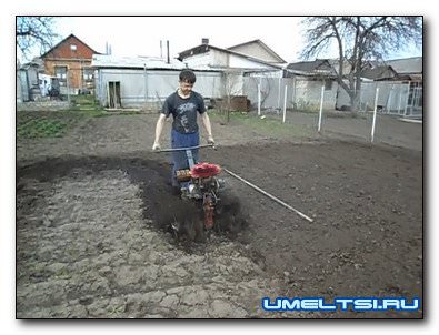 мотоблок из муравья мотоблок из муравья