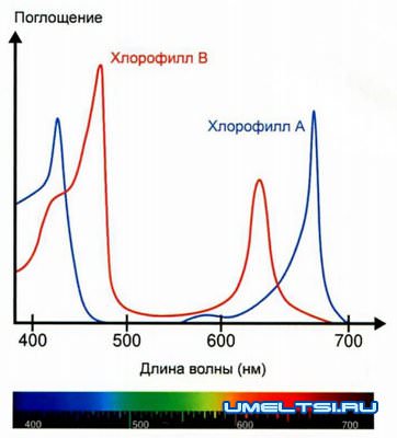 Светодиодная подсветка рассады