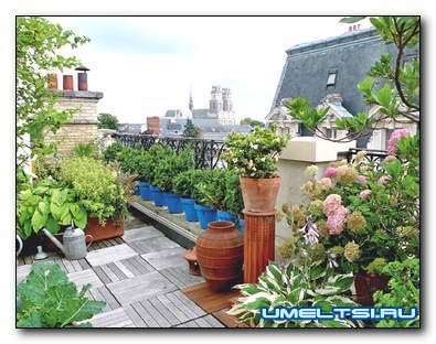 Как организовать сад на крыше